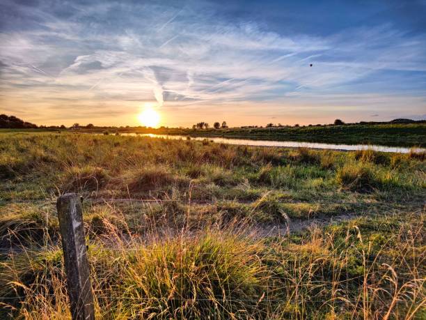 istock Golden sunset over the green field 1441580409