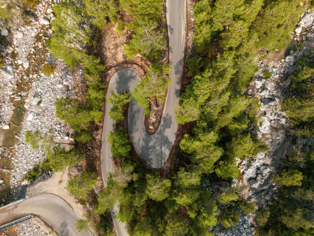 istock Top down view of road through forest at sunrise 1441580848