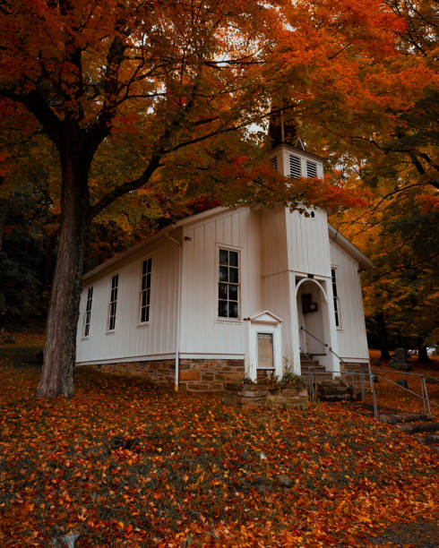 istock Beautiful private house with a leafy yard surrounded by bright orange autumn trees 1441581493