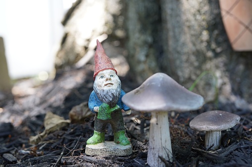 A closeup of gnome and mushroom statues in the garden
