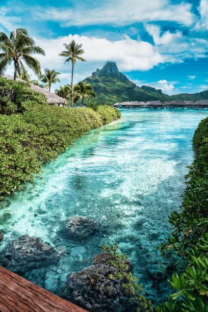 Beautiful view of the tropical island Bora Bora under a blue sky A beautiful view of the tropical island Bora Bora under a blue sky french polynesia stock pictures, royalty-free photos & images