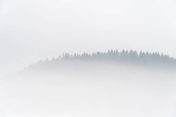 istock Forested mountain covered with fog minimalist background 1441584401