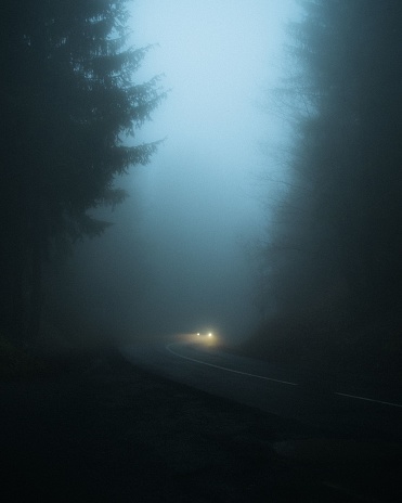 A car in the street surrounded by forests in the foggy night