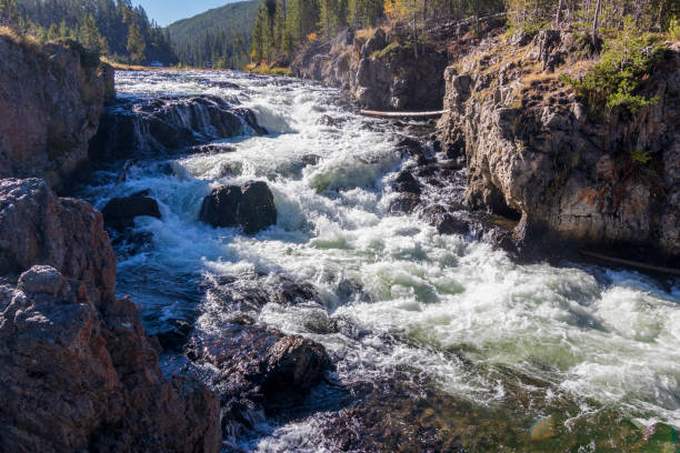 istock Firehole falls at Yellowstone national park. USA. 1441585495