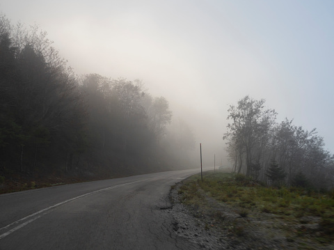 Mountain road, fog and clouds in  forest in mountains Dirfys on the island of Evia, Greece