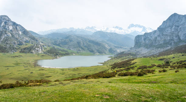 vista do miradouro de entrelagos do lago ercina nos lagos de covadonga, astúrias, espanha - covadonga - fotografias e filmes do acervo