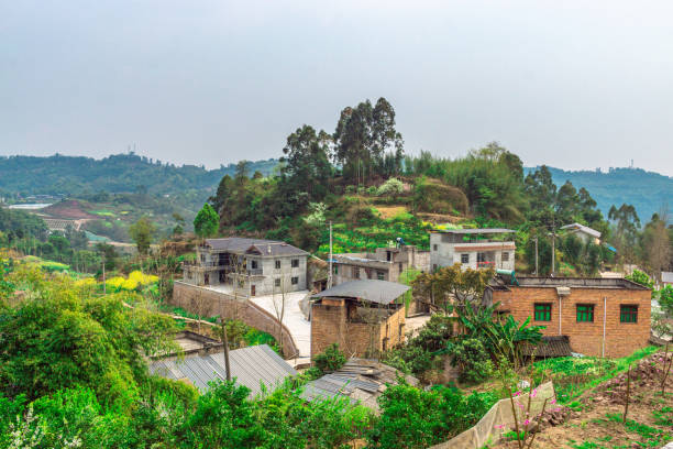 istock Old houses on a hill surrounded with green trees 1441586831