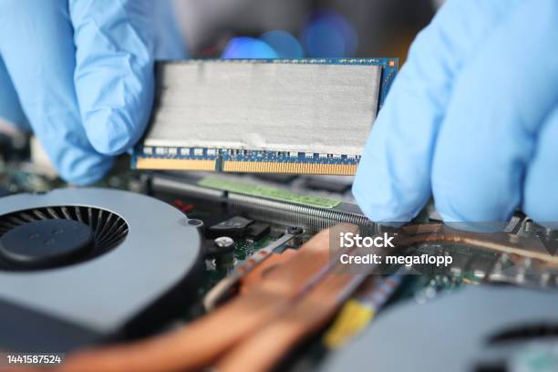 Replacing Computer Board In A Laptop Closeup Stock Photo - Download Image Now - Spatholobus Suberectus Dunn, CPU, Carrying