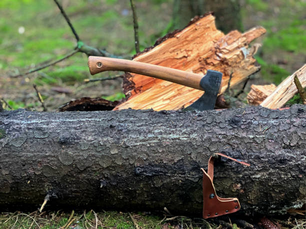 istock Axe, Bushcraft and Outdoor tool 1441587941