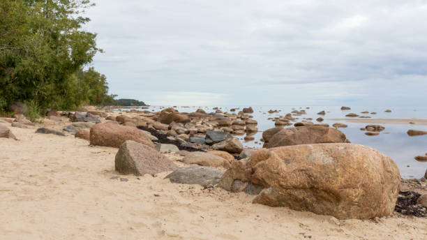 istock Sea view with trees and rocks 1441598350