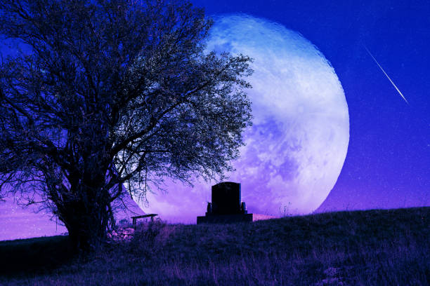 istock Lonely grave with oak tree under starry and Moonlit night. 1441601370
