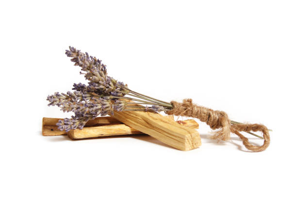 istock Dried Lavender Bundle With Palo Santo Sticks Isolated on White Background 1441604936