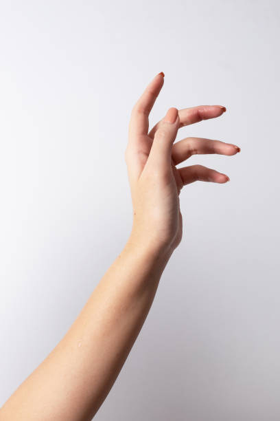 Woman hands holding, showing, giving or supporting something