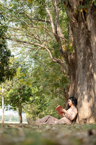 istock a woman sitting under a tree reading a book 1441610050
