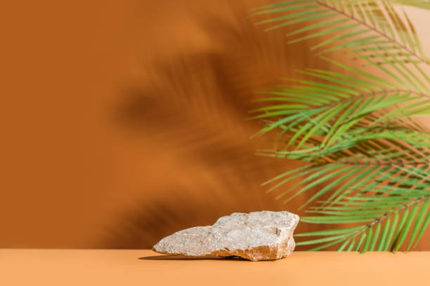 istock Natural empty background for cosmetic product presenation, packaging mockup made with stone and palm leaves. Minimal nature scene. Front view, copy space. 1441612000