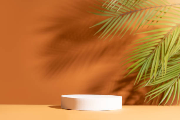 Empty white round podium stage for product presentation on a palm leaves background. Front view.