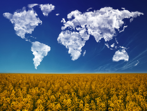 clouds in the form of a world map over a rapeseed field. Travel and landscape concept. hilly field