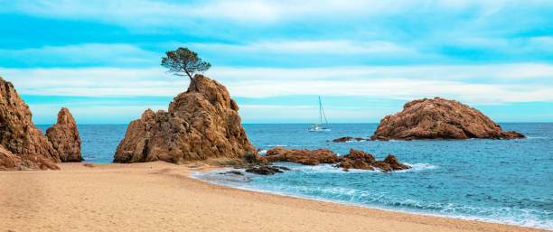 istock Costa brava beautiful beach- rock,  tree,  boat and mediterranean sea 1441623051