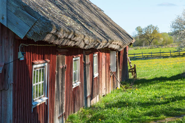 istock Old weathered barn with thatched roof on a farm 1441624670