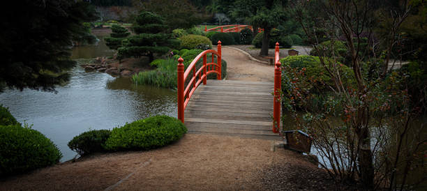 pond