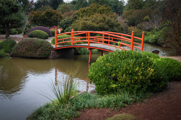 istock Toowoomba gardens 1441626853