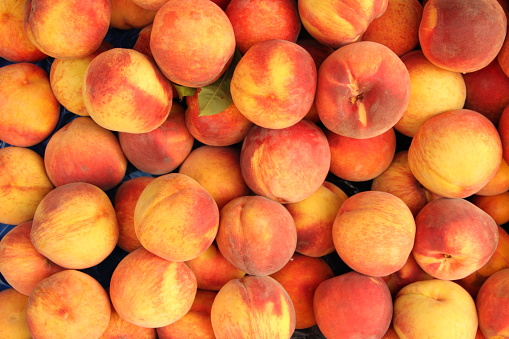 A cropped photo of an anonymous Caucasian woman holding a plate of fresh juicy peaches.