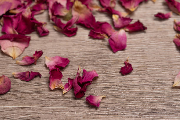 istock Dried rose petals on wooden background.Copy space. 1441627807