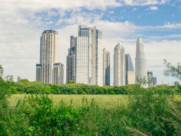 Buenos Aires, Argentina - March 16, 2020: Modern skyscrapers towering over the historic brick buildings of Puerto Madero, a revitalized docklands area in Buenos Aires, Argentina, showcasing a blend of architectural styles