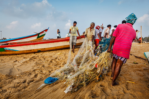 Chennai, India - February 10, 2013: Indian fishermen dragging fishing net with their catch from sea on Marina Beach, Chennai, Tamil Nadu