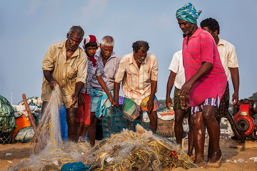 Chennai, India - February 10, 2013: Indian fishermen examining their catch in fishing net on Marina Beach, Chennai, Tamil Nadu