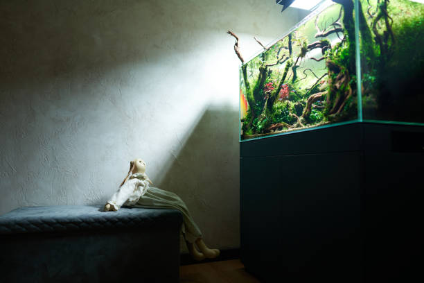 Beautiful freshwater aquascape with live aquarium plants A toy rabbit sits on a pouf in a dark room and looks at the beautiful freshwater aquascape with live aquarium plants, Frodo stones, redmoor roots covered by java moss. neon trident stock pictures, royalty-free photos & images