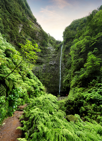 Madeira - Hermosa cascada al final de Levada Caldeirao Verde, selva tropical verde photo