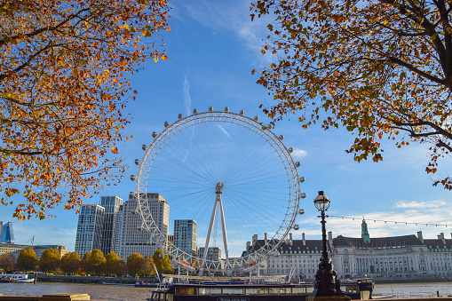 London, UK - November 18 2021. The London Eye and trees with autumn colours