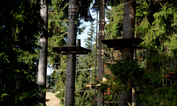 istock Climbing center, rope obstacle courses between treetops or rope ropes stretched from a pole and rope ladders high above the ground. fall protection with a climbing set and carabiner. adrenaline 1441647678