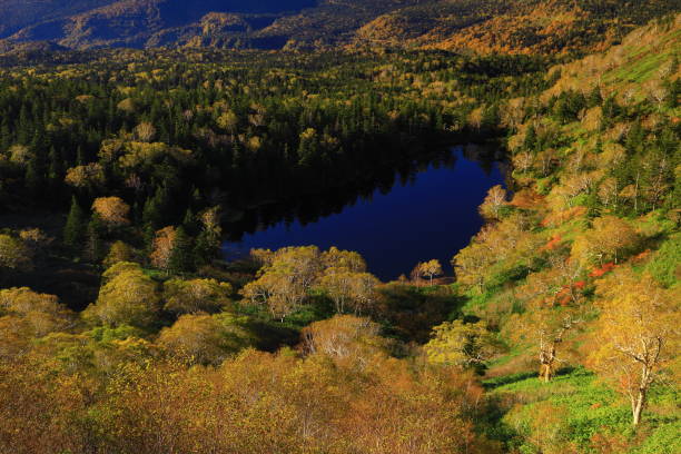 istock Hachimantai in autumn leaves 1441648411