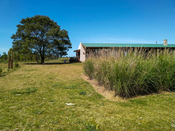 istock Countryside ranch, maldonado, uruguay 1441649923
