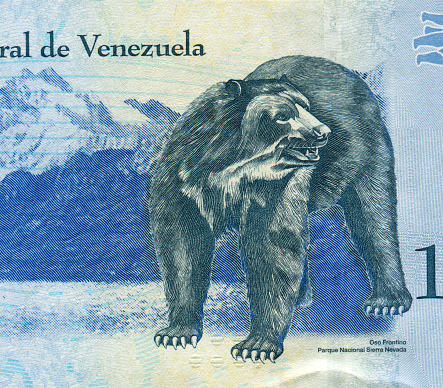 Spectacled Bear Pattern Design on Venezuelan Bolivar Currency