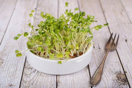 Close-up microgreen radish isolated on the white background. Healthy food concept.