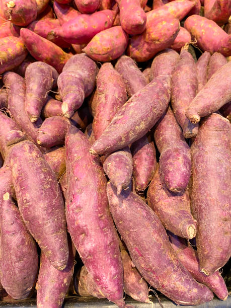 istock Full frame sweet potatoes at retail market. 1441662600