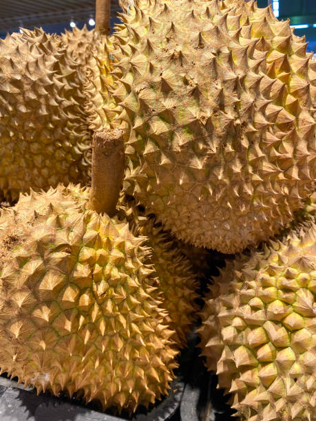 istock durian at retail market 1441662601