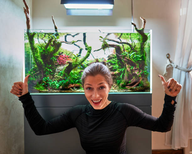 istock Woman in front of aquarium 1441662764