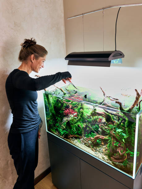 istock Woman standing in aquarium 1441662795