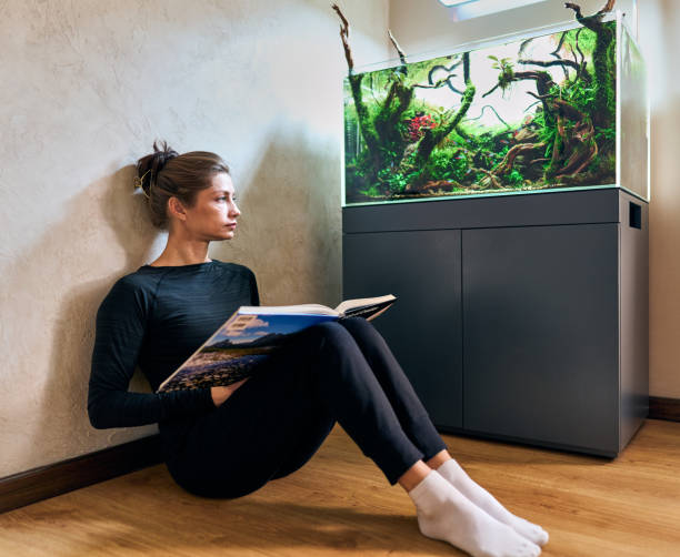 Woman sitting in front of aquarium A beautiful woman sitting on the floor with the book in the hands and looking to the aquarium aquascape. amano aquarium stock pictures, royalty-free photos & images