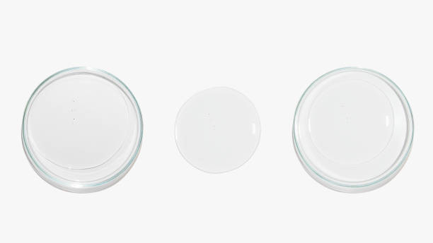 istock Petri dishes with transparent color gel on a light background. Glassware. Liquid. Study. 1441665516