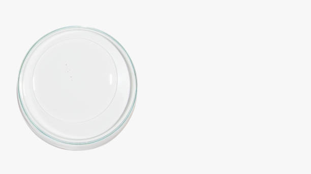 istock Petri dish with transparent color gel on a light background. Glassware. Liquid. Study. 1441665578