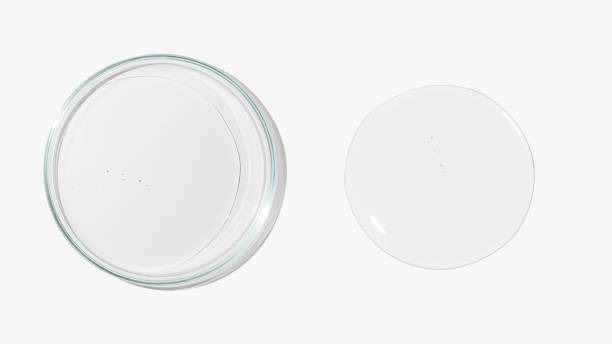 istock Petri dish with transparent color gel on a light background. Glassware. Liquid. Study. 1441665608
