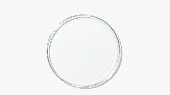 An empty petri dish on a light background.