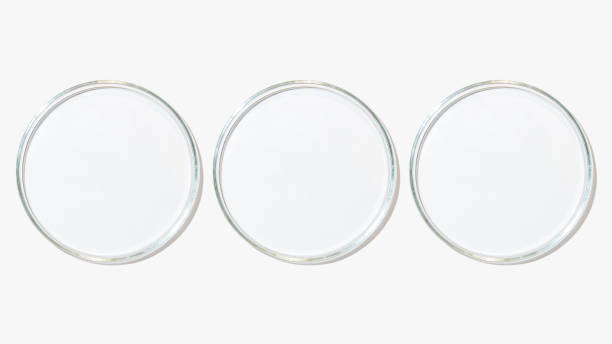 istock Set of petri dishes on a light background. 1441665732