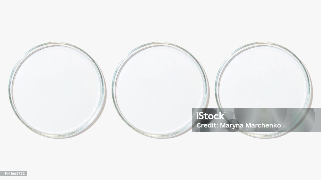 Set of petri dishes on a light background. Abstract Stock Photo
