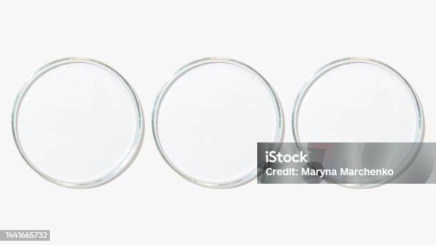 Set Of Petri Dishes On A Light Background Stock Photo - Download Image Now - Abstract, Agar Jelly, Analyzing